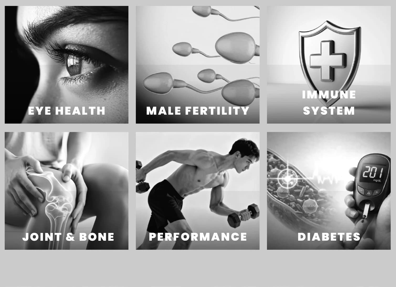Eye health, male fertility, immune system, joint and bone health, performance and diabetes support
