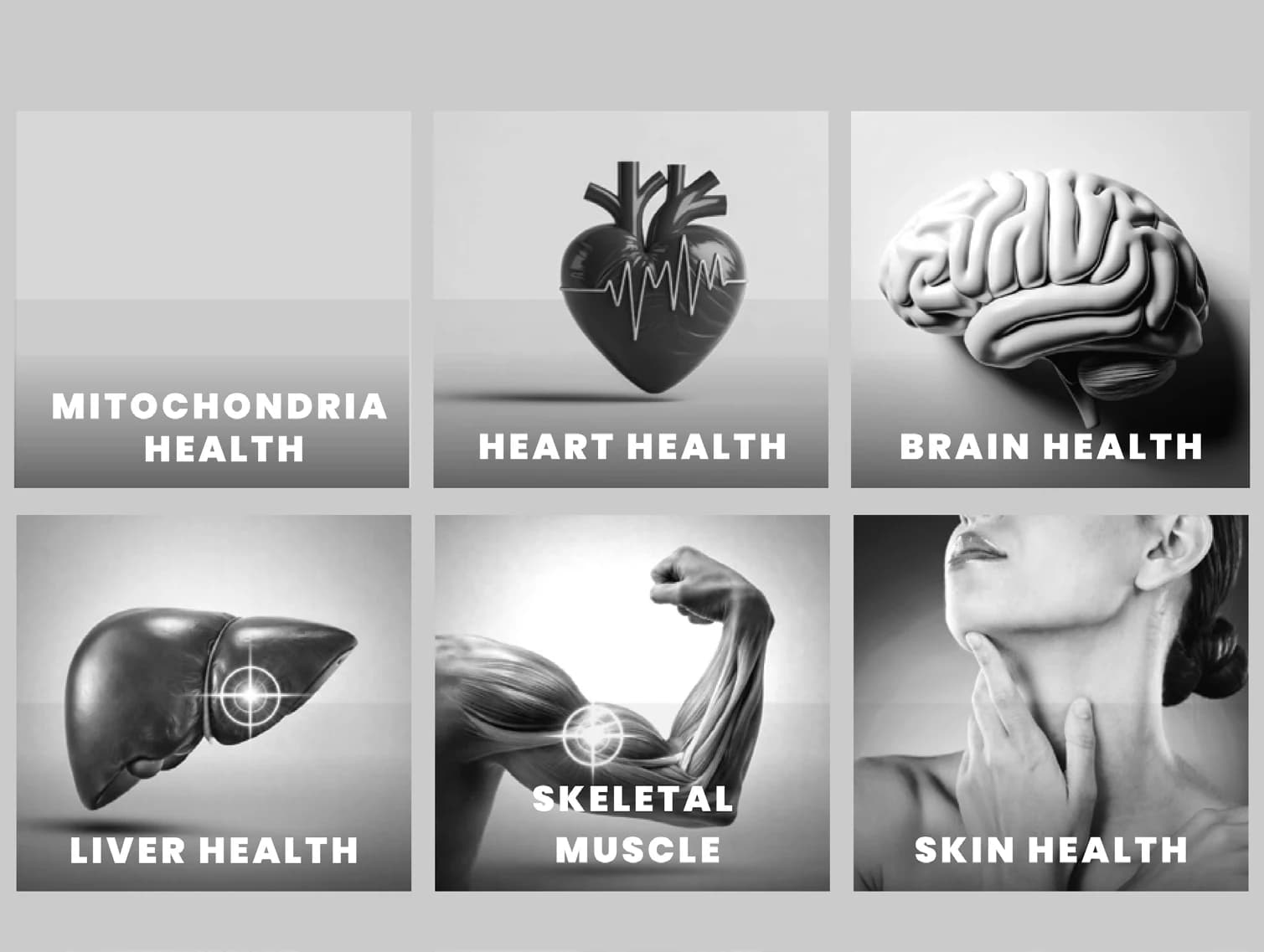 Mitochondria, heart, brain, liver, skeletal muscle and skin health